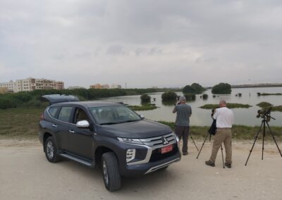 Watching birds at East Khor, Salalah, Oman, November 2022
